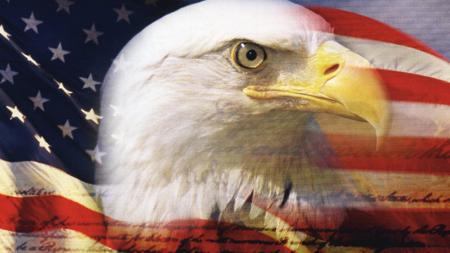 Campaign image